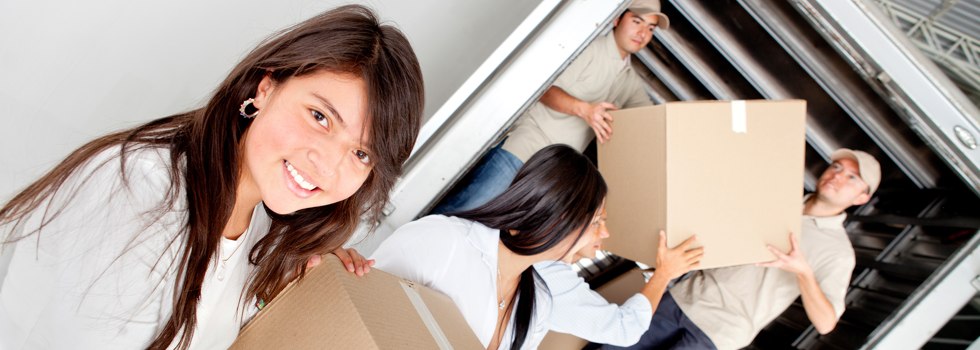 Professional Removalists Sevenhill